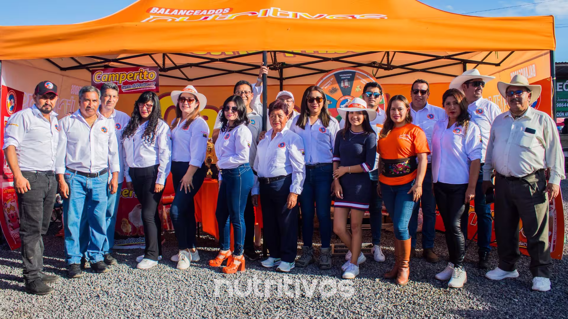 balanceados nutritivos equipo